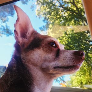 Meet your Posher, Chico benito